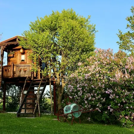 아파트 La Collina Dei Ciliegi