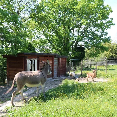 Apartmán La Collina Dei Ciliegi