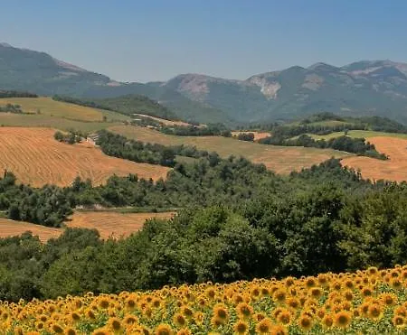 La Collina Dei Ciliegi *